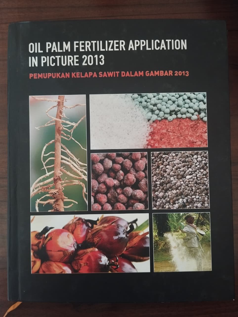 Cover Oil Palm Fertilizer Application in Picture 2013